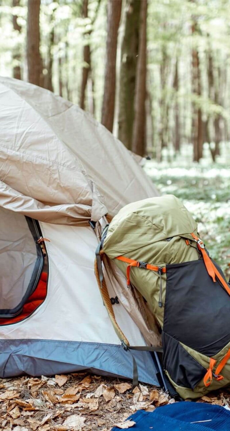 campsite-in-the-forest-5D78RJ4.jpg